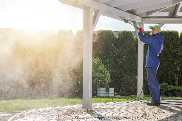 Best Dumpster Area Cleaning  in South Sumter, SC